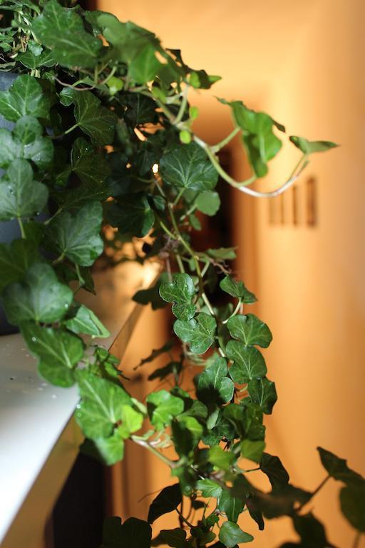 Beautiful Life Bed & Breakfast Palermo Bagian luar foto